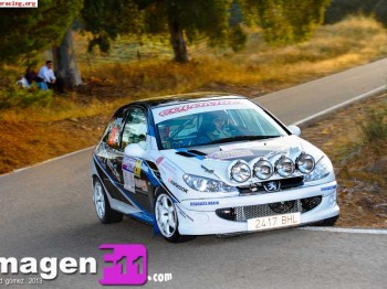 Parrilla de faros y cuneteros para 206 con xenon