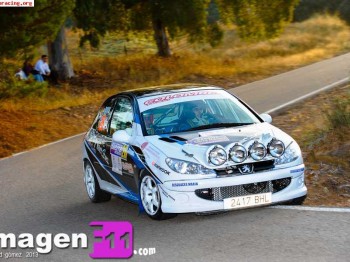 Parrilla de faros y cuneteros para 206 con xenon