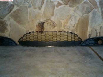 Rejilla defensa y carcasas antiniebla ford fiesta sport mk 7