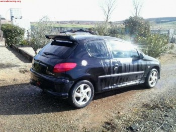 Carroceria de 206 xs documentada