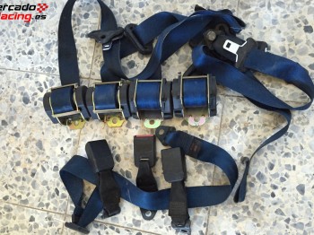 Clio williams cinturones