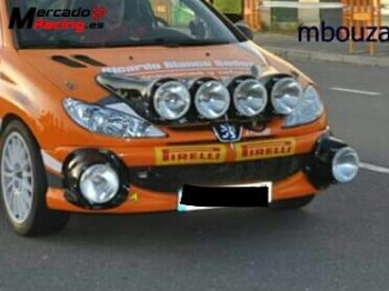 Parrilla de faros y cuneteros 206