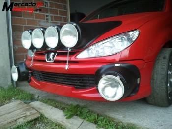 Parrilla de faros 206