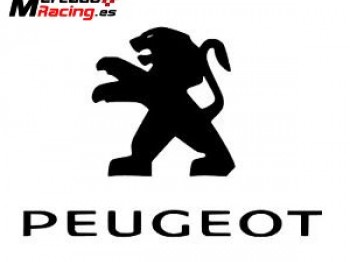 Documentacion 106 rally