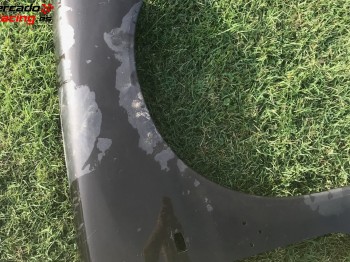 Elemento de la carroceria