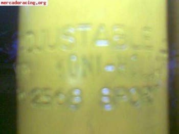 Koni amarillos saxo/106