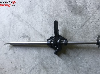 Vendo gato de carreras 