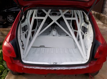 Arco de seguridad 206