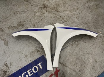 Aletas delanteras 207 2000