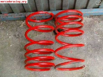 Muelles selex para 206 gti / hdi + amortiguadores