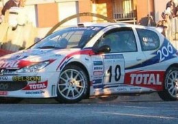 Luna termica peugeot 206