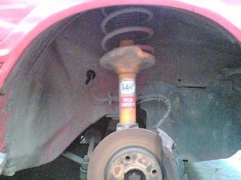 Amortiguacion completa selex para 205