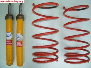 Selex competición y muelles -3cm para saxo, 106