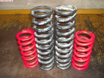 Muelles estrechos eibach