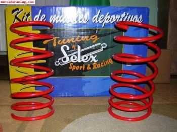 Vendo muelles -6 selex  saxo