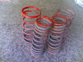 Muelles para ford focusi