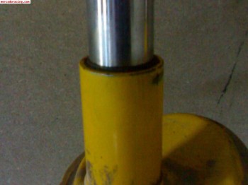 Bilstein 206 bastago gordo gr.n