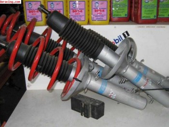 Bilstein sport para león...