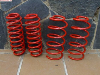 Vendo kit muelles eibach