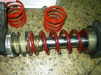 Suspension del tecnosok y frenos 266 citroen saxo