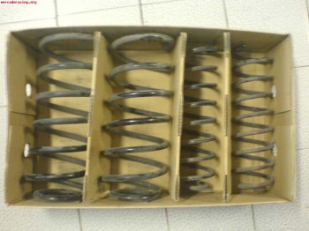 Vendo amortiguadores tras. y muelles de serie para ibiza/cor