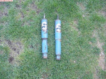 Amortiguadores selex delanteros r5