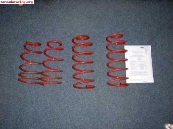 Muelles eibach delta integrale