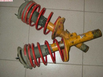 Vendo 2 koni con muelles momo 3,5cm para 205 gti