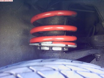 Suspension gorda ¡trofeo saxo!