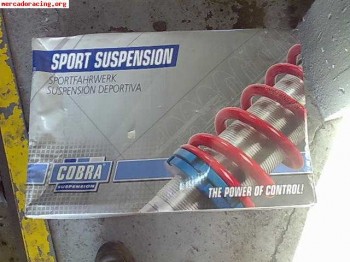 Muelles bajos para peugeot 207