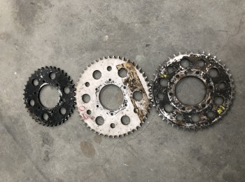 Catalinas / desarrollo semog